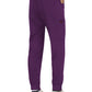 Women's 6-Pocket Jogger Aster Pant