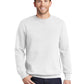 Men's Crewneck Sweatshirt