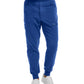 Men's Seven-Pocket Cargo Jogger Pant - WB417 - Royal